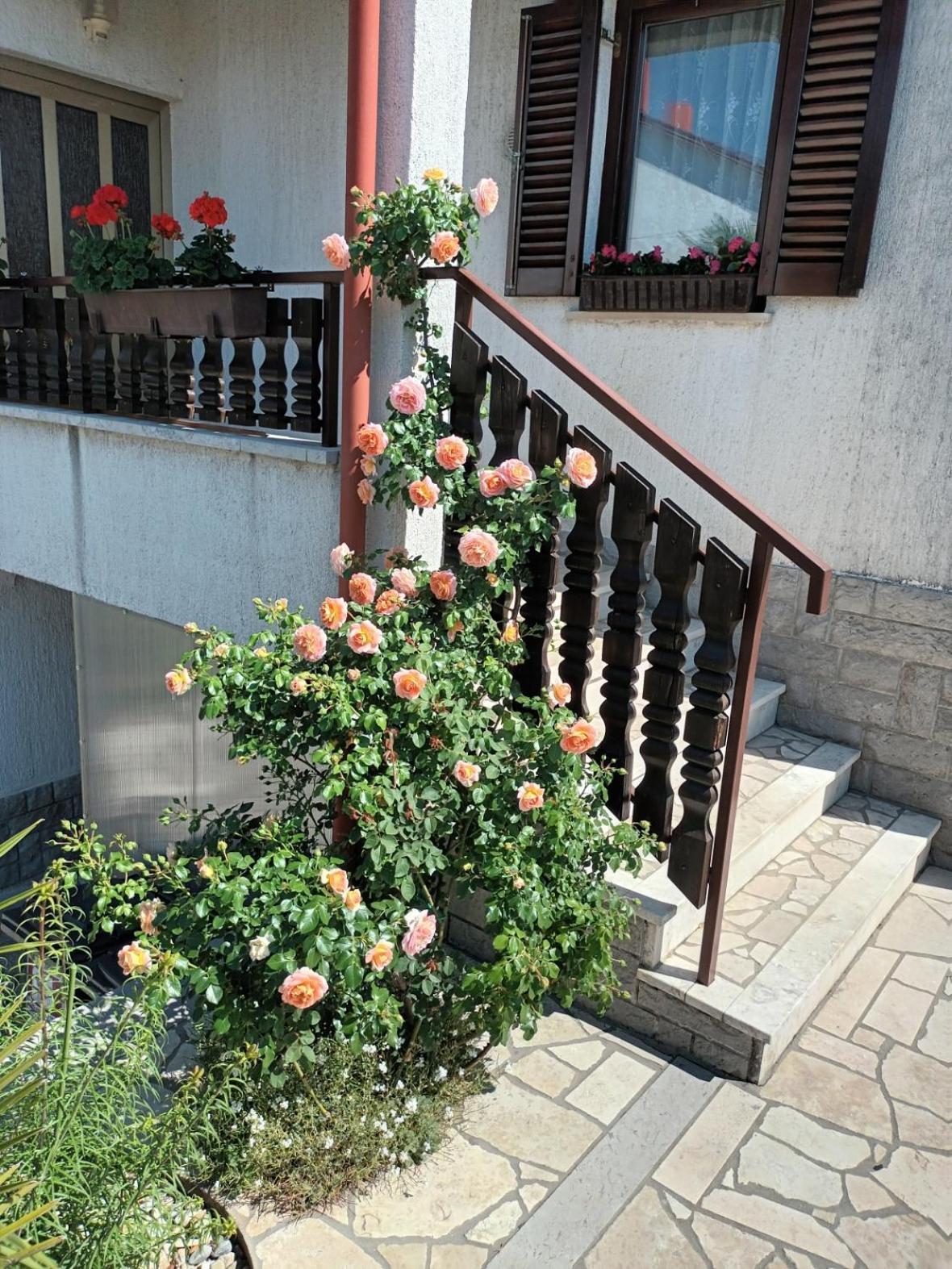 Apartments Peric Opatija Eksteriør billede
